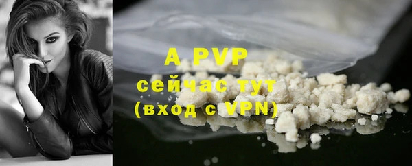 apvp Пересвет