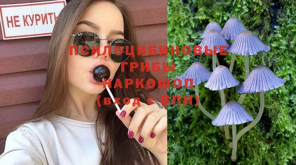 apvp Пересвет