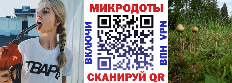 Псилоцибиновые грибы мицелий  Томари 